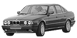 BMW E34 P1365 Fault Code